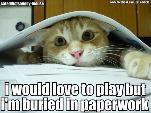 plz to send cawfee and/or sweets asap