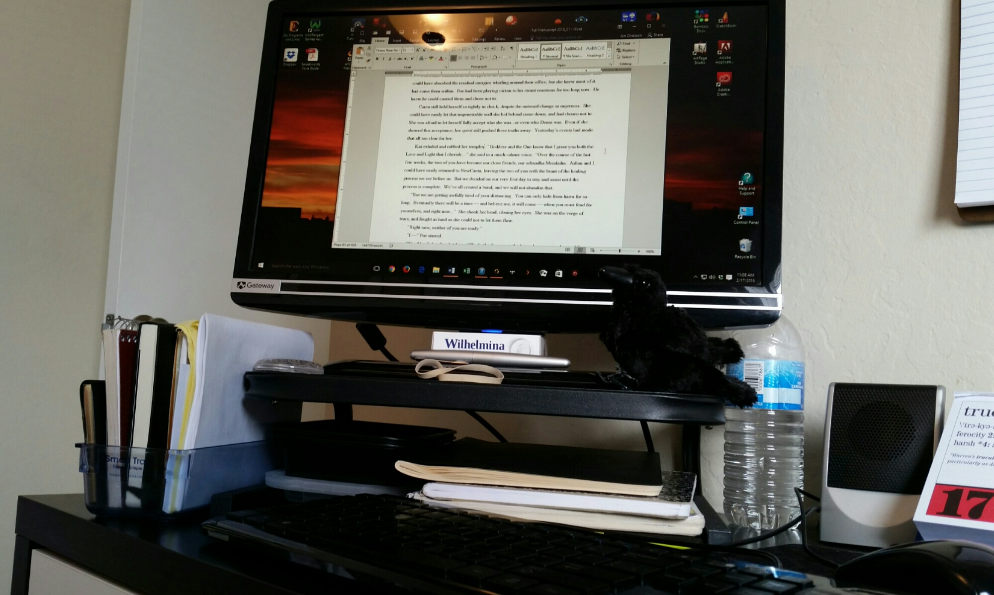 2016-02-17 11.09.59.jpg image