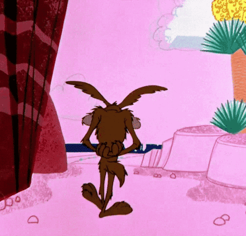 wile e coyote idea