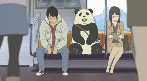 panda train