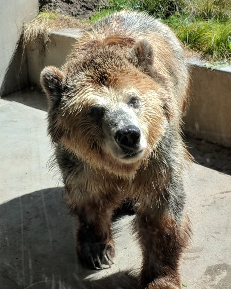 IMG_20180506_125129_958